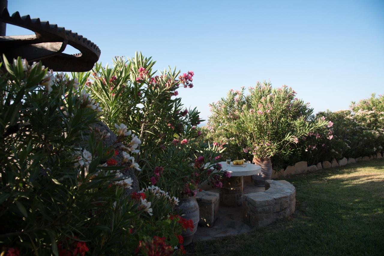 Triopetra Luxury Villas Panagia 外观 照片